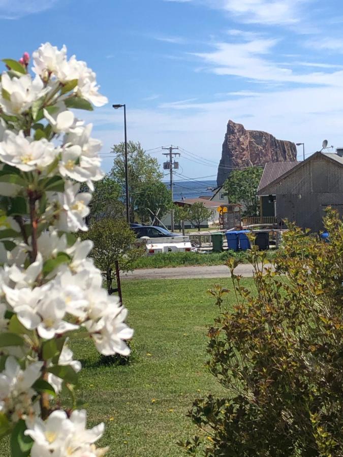 Motel Le Repos Perce Εξωτερικό φωτογραφία